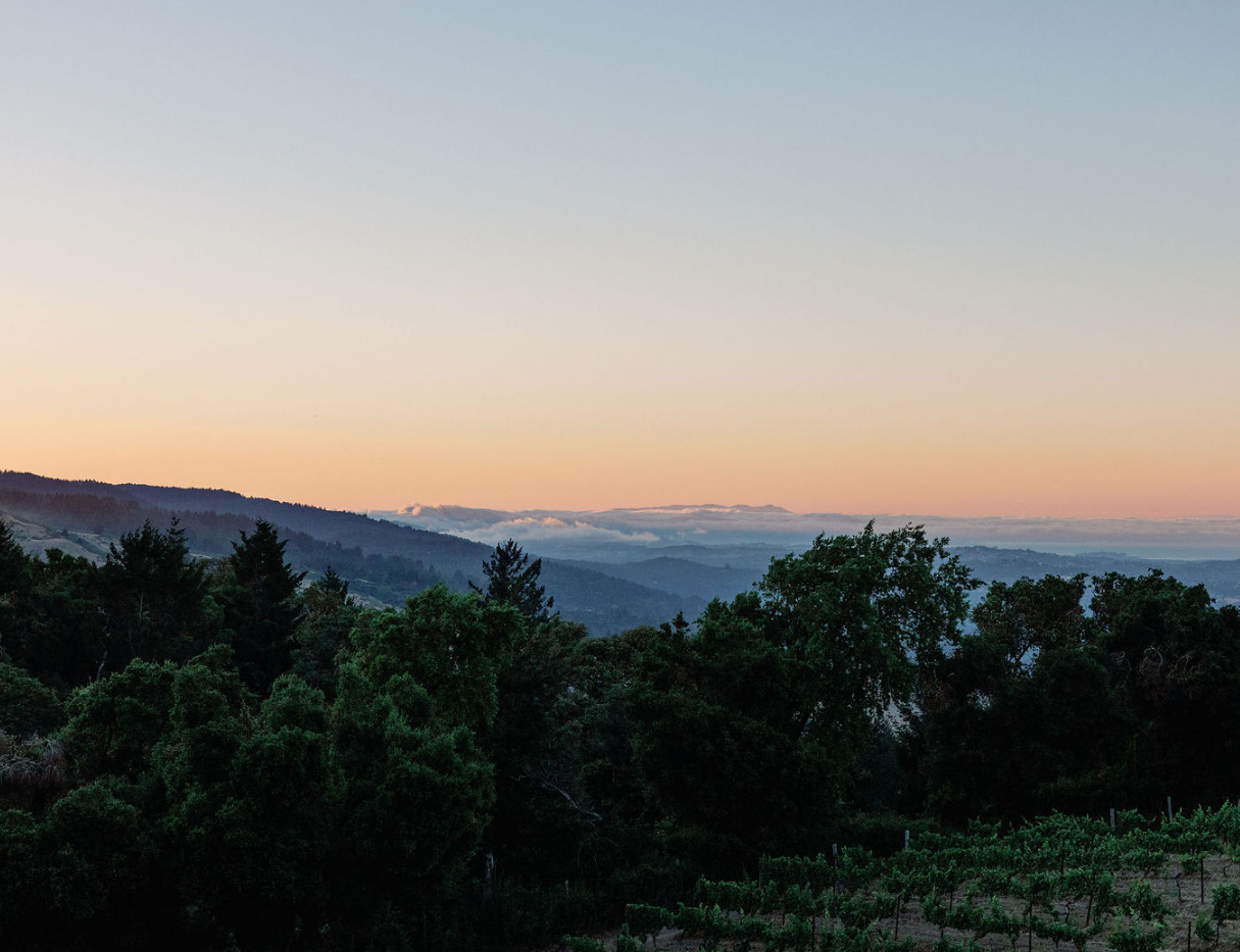 View of Thomas Fogarty Winery